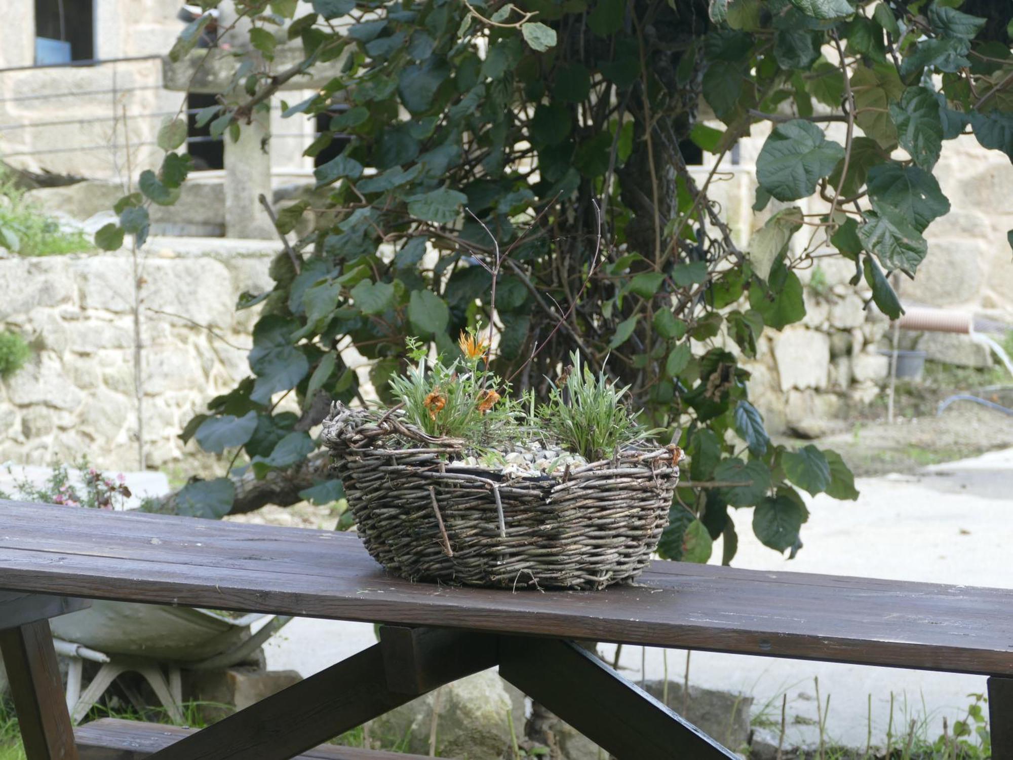 Casita A Estrenar En Finca Con Rio Proxima A Tui, Gondomar Y Portugal. Buitenkant foto