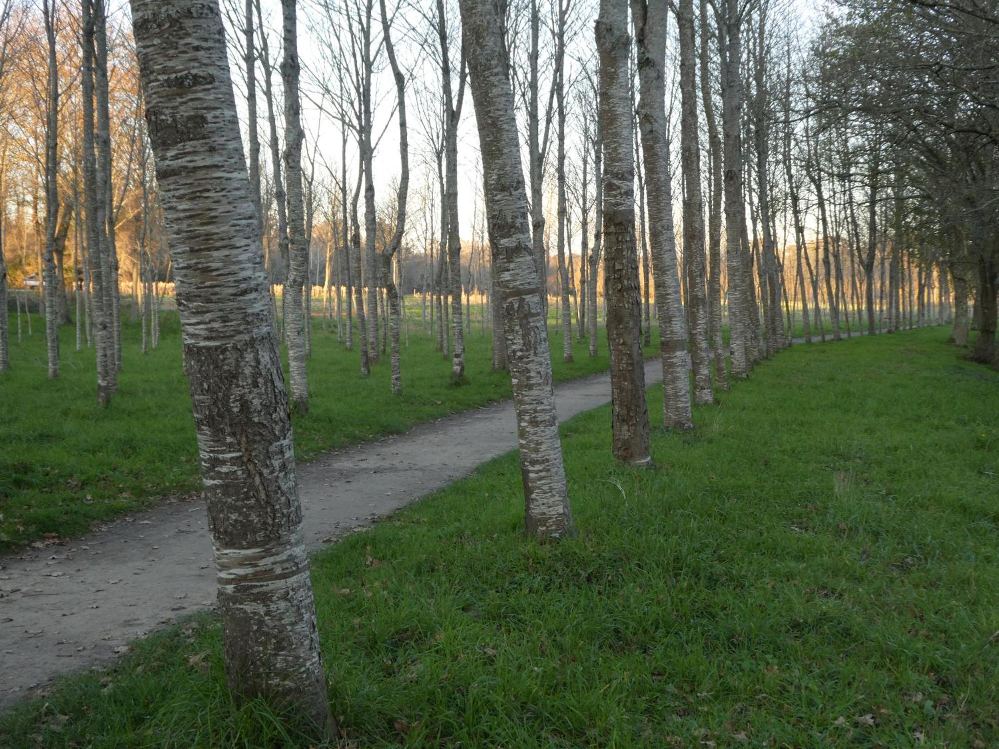 Casita A Estrenar En Finca Con Rio Proxima A Tui, Gondomar Y Portugal. Buitenkant foto